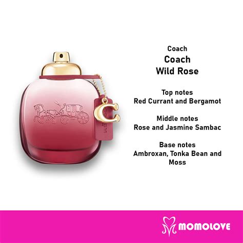 coach wild rose scent notes.